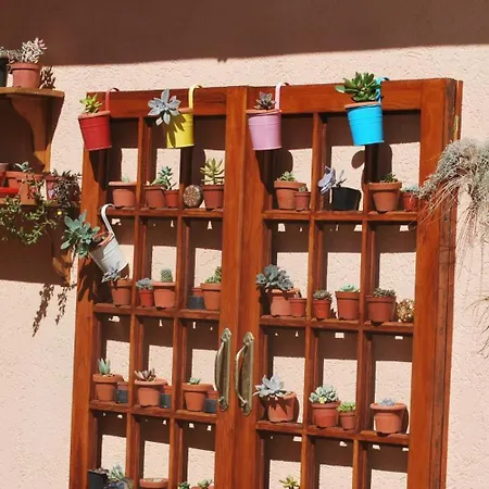 Aparthotel Increible Estudio Con Hermosas Vistas Terraza, Piscina, Bbq Icod De Los Vinos